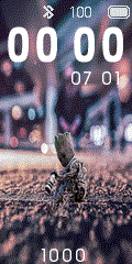 176x176